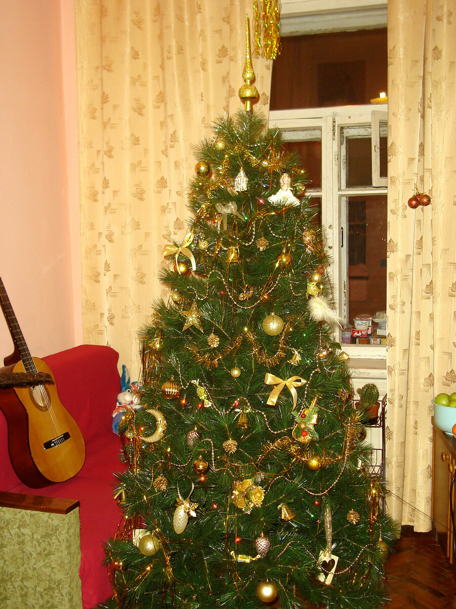 Так выглядела ёлка в свой самый первый Новый год - с 2009 на 2010 год. Съемное жильё в доме по адресу: Тучков переулок, 15
