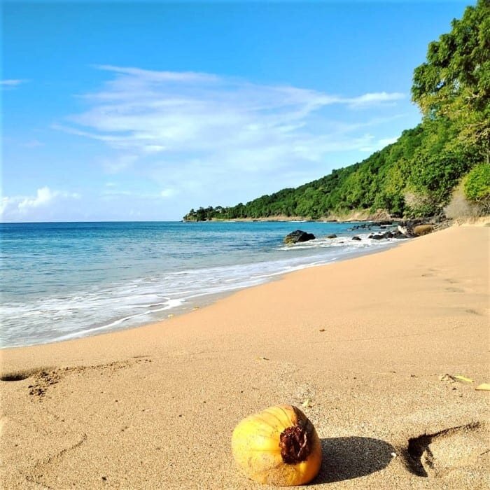 Пляжи Карибского моря, Гваделупа