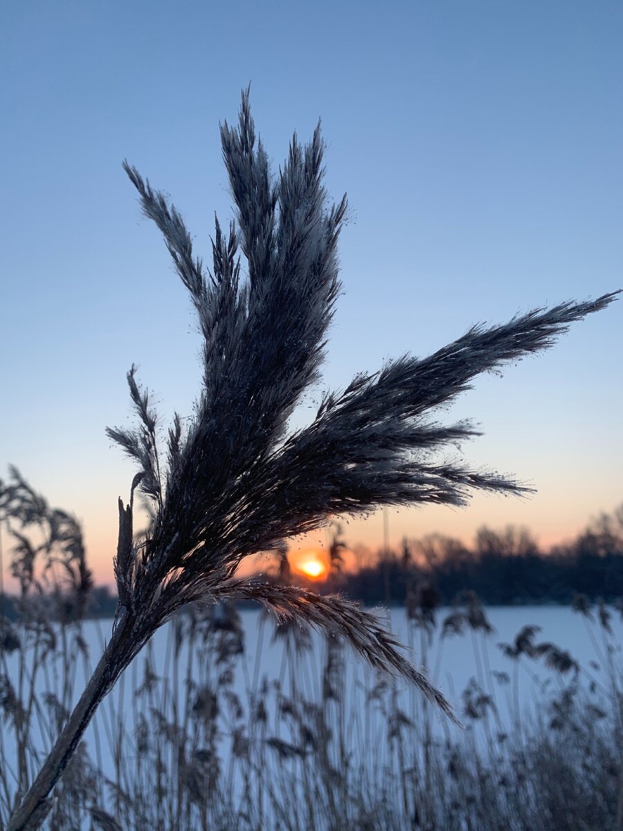 Впервые в жизни бегала в такой холод, -21С