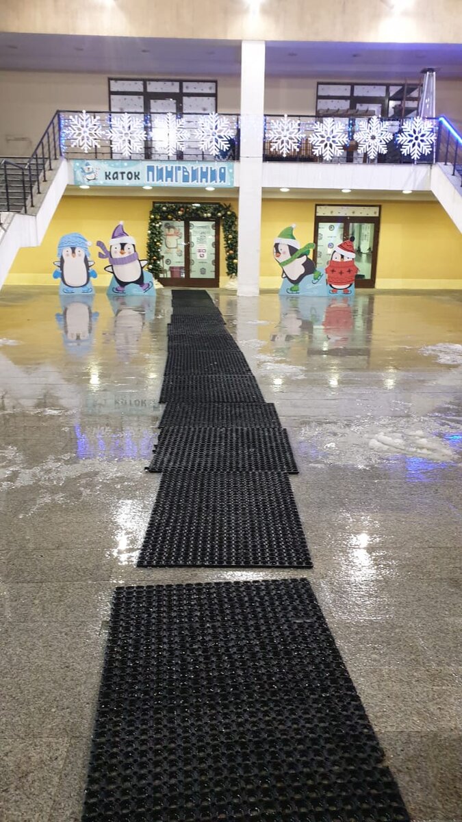 Роза Хутор каток Пингвиния