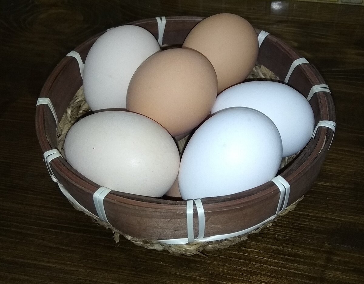 фотография из личного архива.