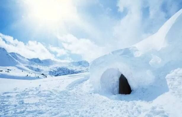 Снежное укрытие: как выжить в сугробе
