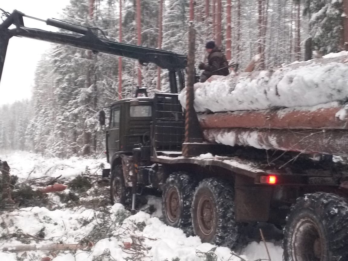 #новостинедвижимости Рядом с Большим (оно же Круглое) озером в северной части Всеволожска неизвестные вырубают и вывозят строевой лес.
#вырубка  #хищения  #лес #деревья #росимущество #романовка  #днпспутник  #схема  #синочкин