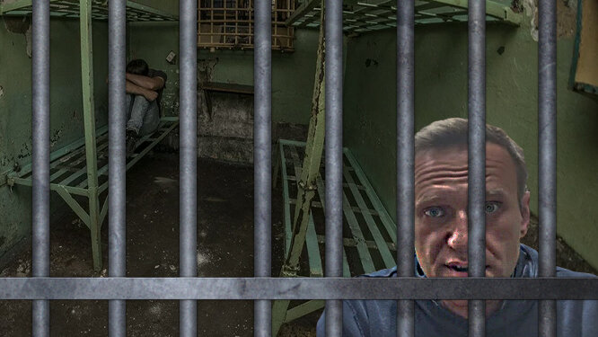 Леша, наконец-то дома