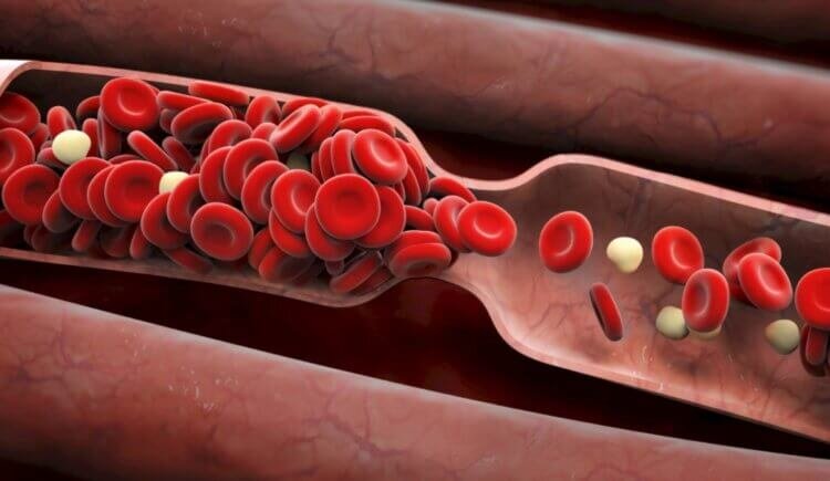 Интересных фактов о человеческой крови много и об этом можно говорить часами 
