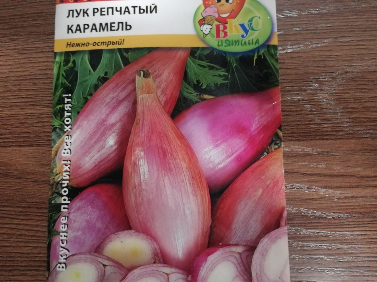 Лук флорентийская торпеда Лук флорентийская торпеда