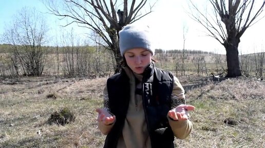 Живем в деревне. Решили держать только нубийских коз. Почему