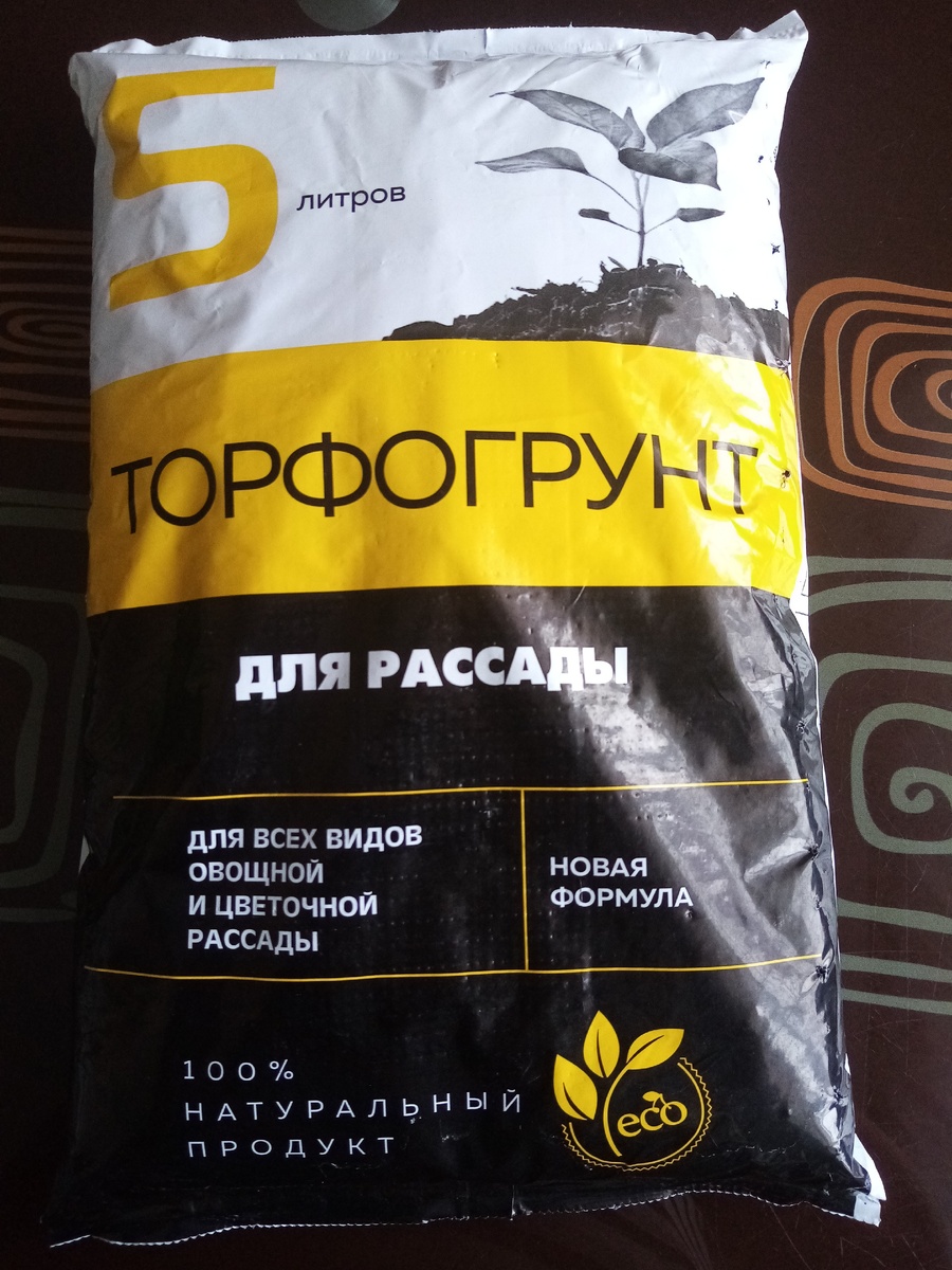 фото с моего телефона. Именно этот решено использовать в этом году .