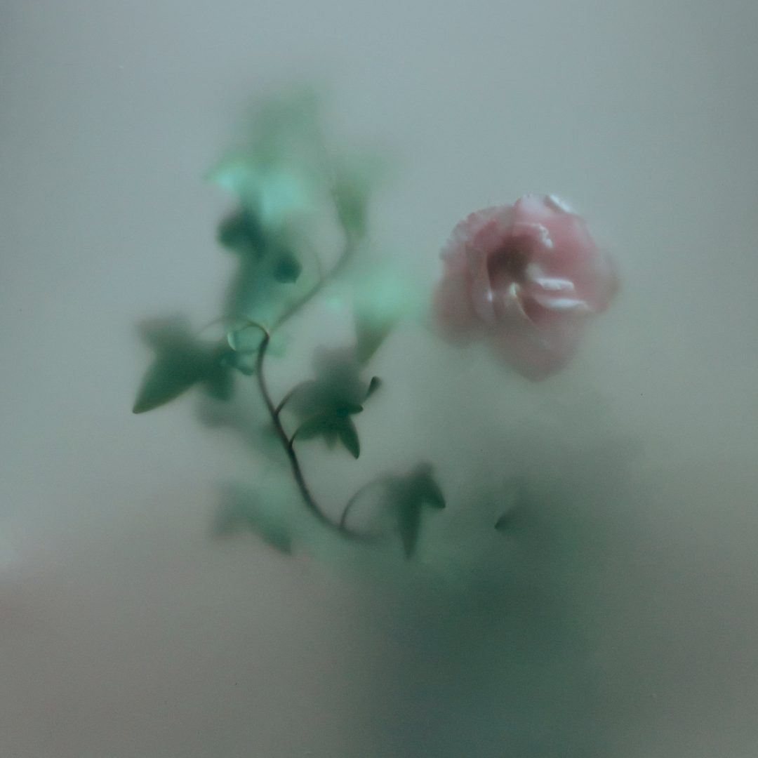 Фото автора cottonbro: Pexels