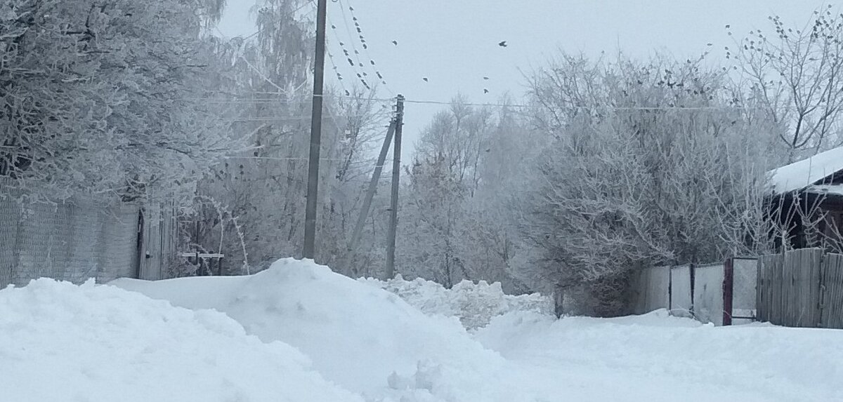 Тихая улочка