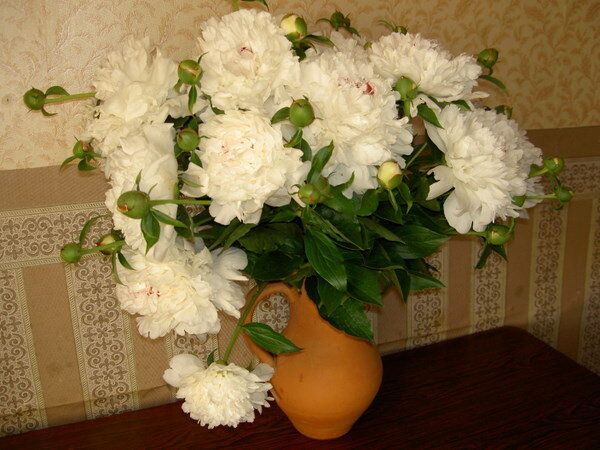 Для Вас