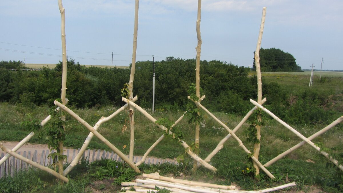Видно трассу