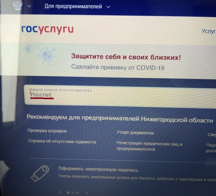 Чтобы найти форму, нужно в поисковой строчке ввести "Росстат".