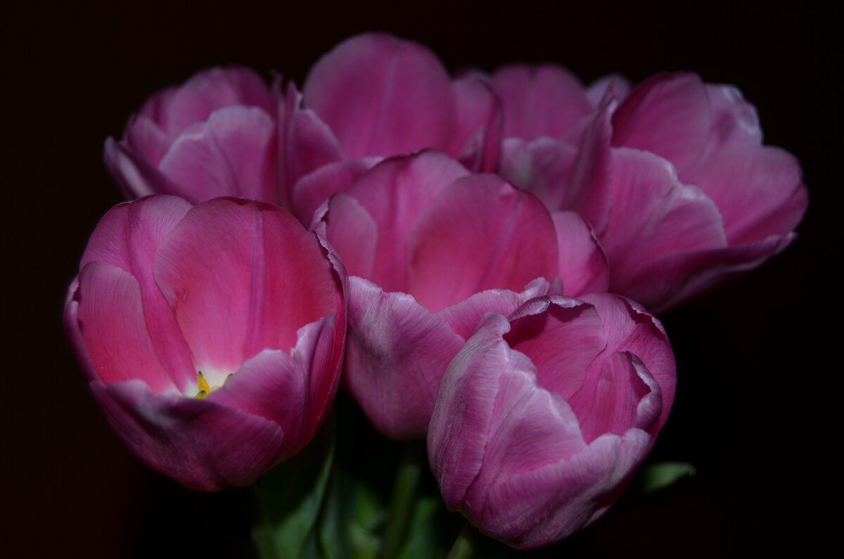 Фото сделано мной 