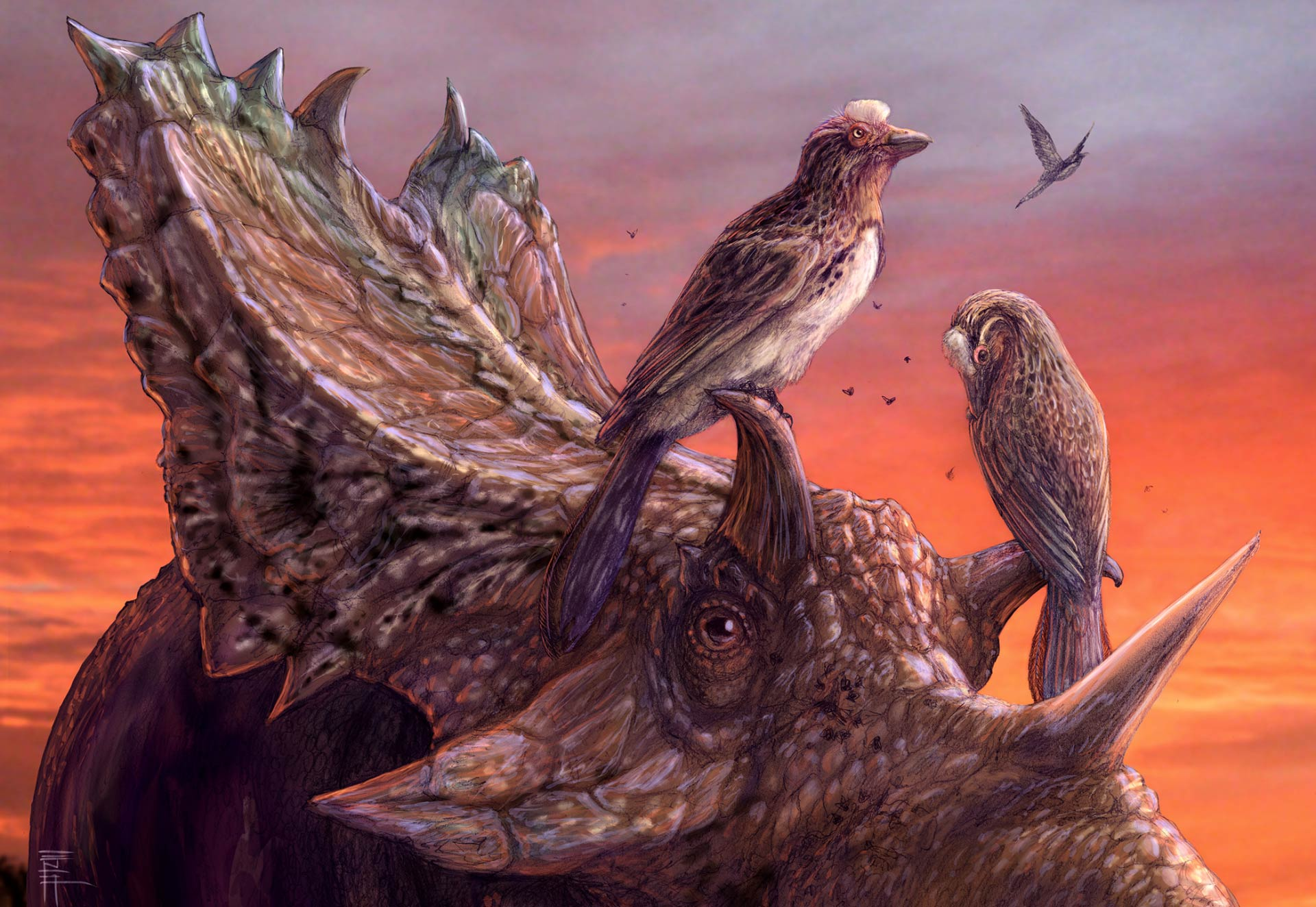 Ютацератопс: Корова на базе динозавра. Изучаем классику доисторической фауны3