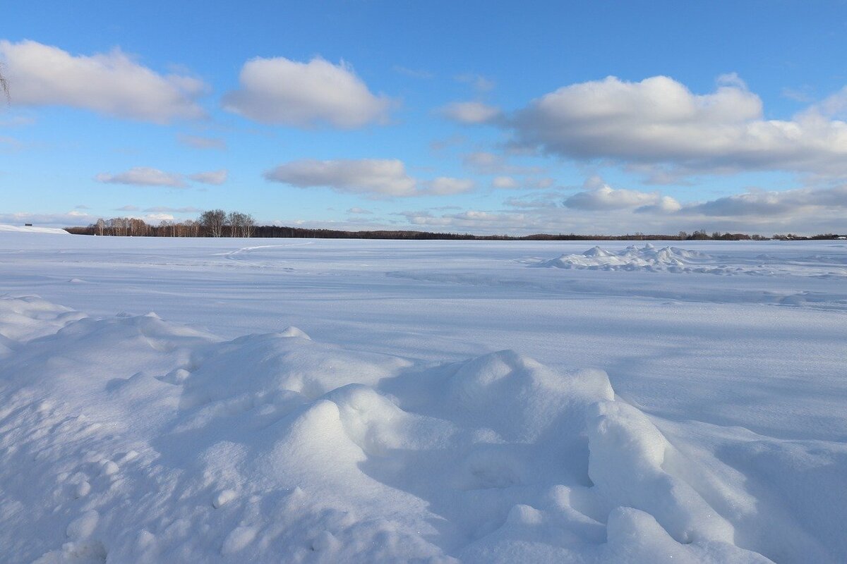 Источник фотографии – сайт: pixabay.com