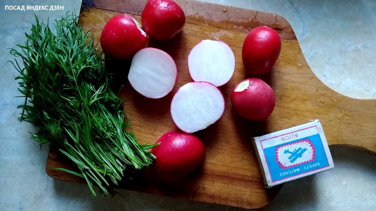 Своя редисочка - аппетитнее и полезнее магазинной.