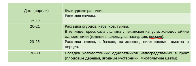 Какие работы необходимо выполнить в саду/огороде за апрель?