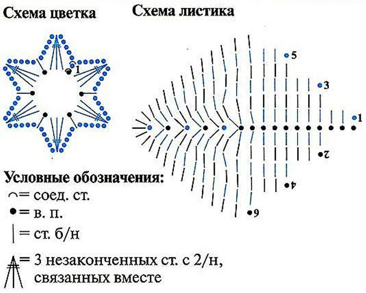 Схема цветка и листика