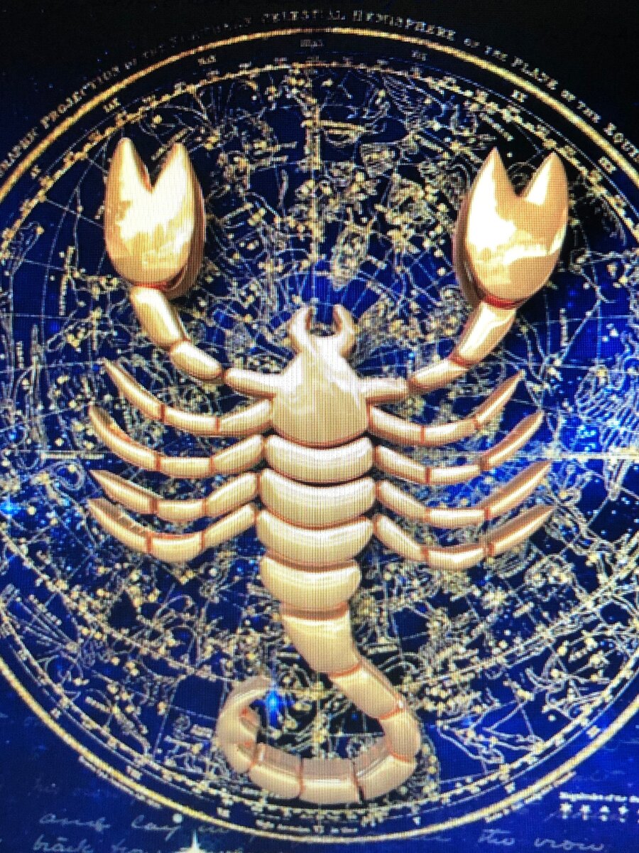 "гороскоп "козерог". Прогноз для женщины козерога. Козерог. Декабрьский козерог. Прогноз для женщины козерога.