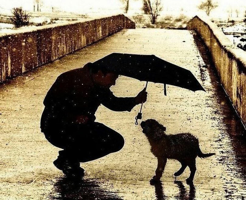 фото из интернета