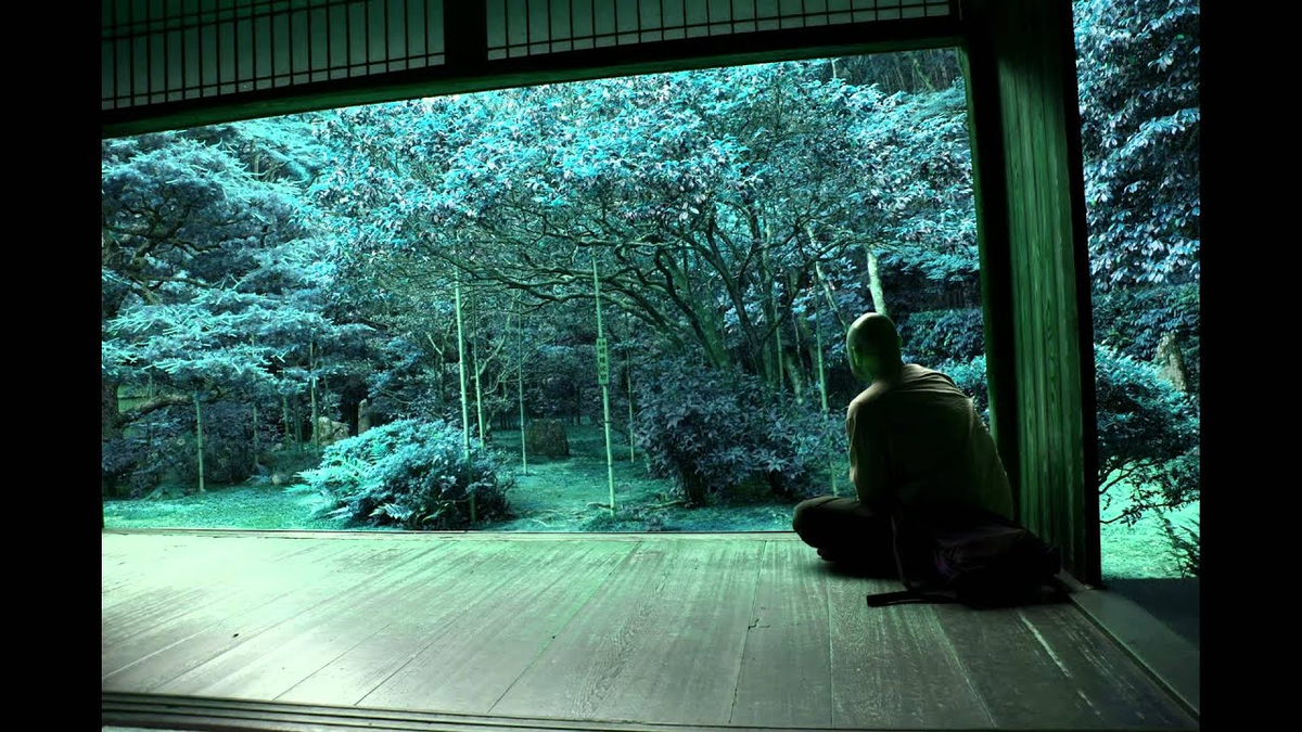 источник Яндекс Дзен