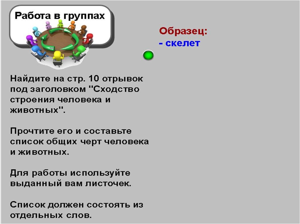 Урок биологии в 8 классе — Место человека в системе природы | Елена Сова:  пуд соли в школе | Дзен