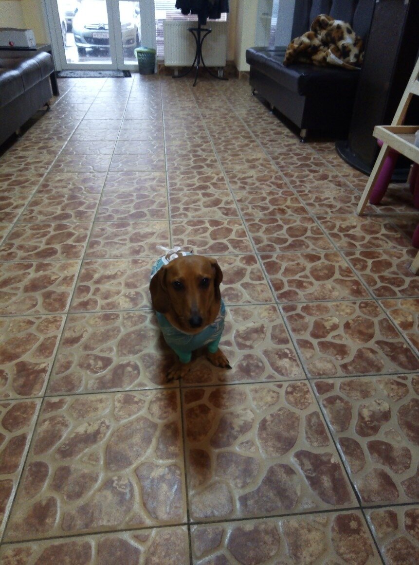 Сонечка после операции.