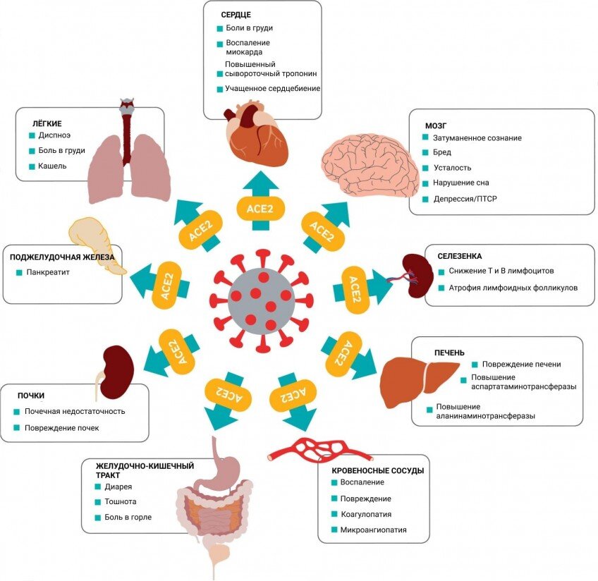 Источник: blog.talon.by