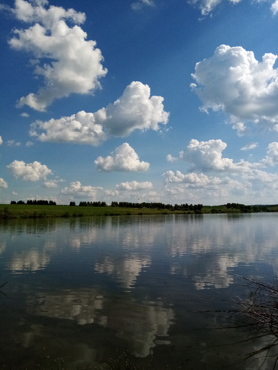 тапочки — профиль пользователя в Шедевруме