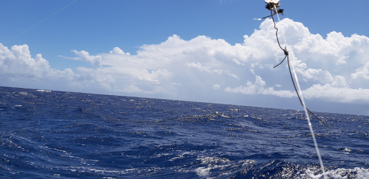 Троллим рыбу