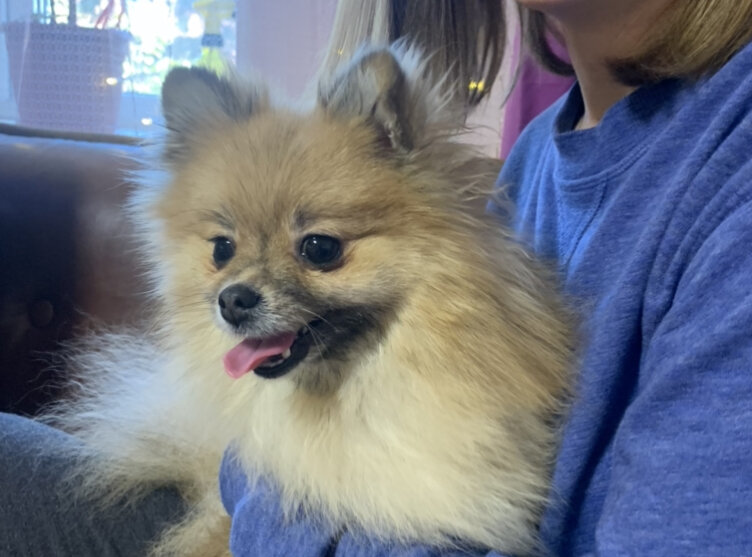 Люблю сидеть на ручках