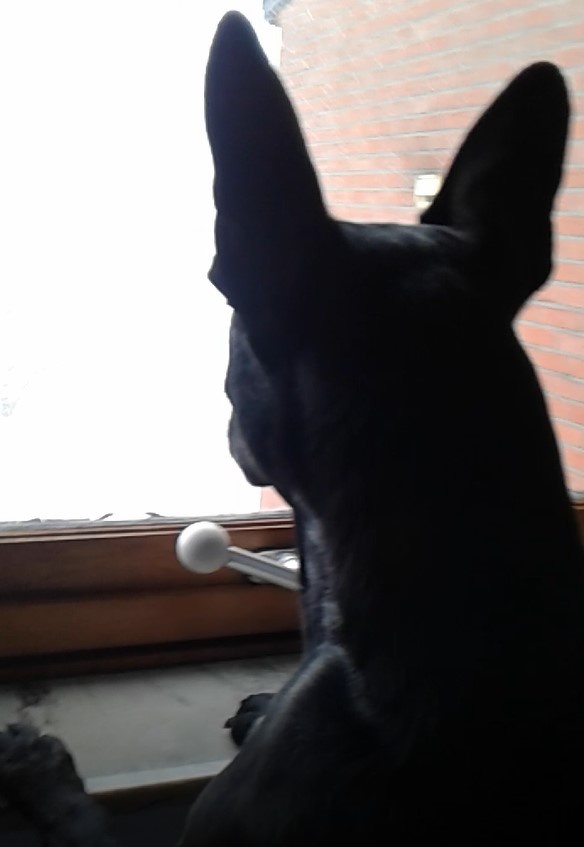 Ищу кандидатов в президенты