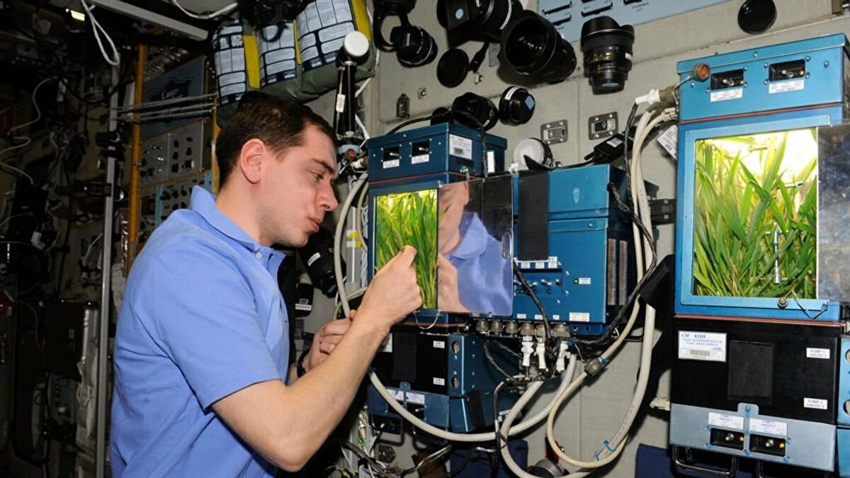 Витацикл-т оранжерея МКС