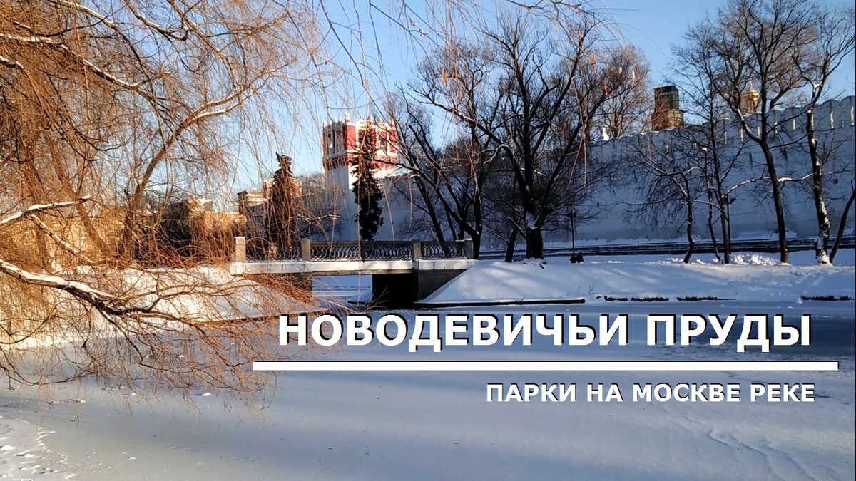 Москва, Новодевичьи пруды