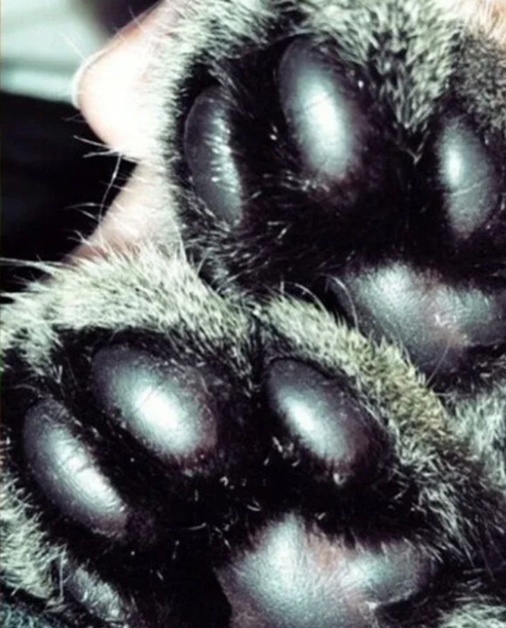 Фото взято с яндекс-картинок