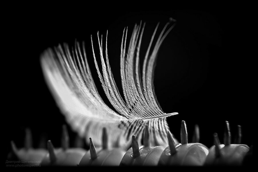 фото автора статьи