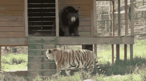 2022 год для Скорпиона станет годом поддержки и коммуникации.