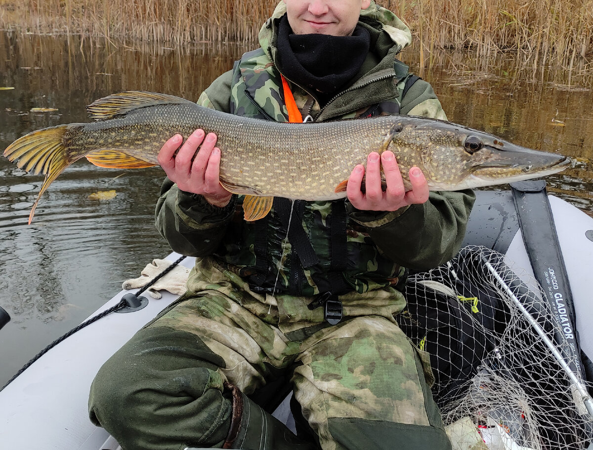 Эта щука оказалась самой крупной у меня за сезон 2021 года - 4,05 кг
