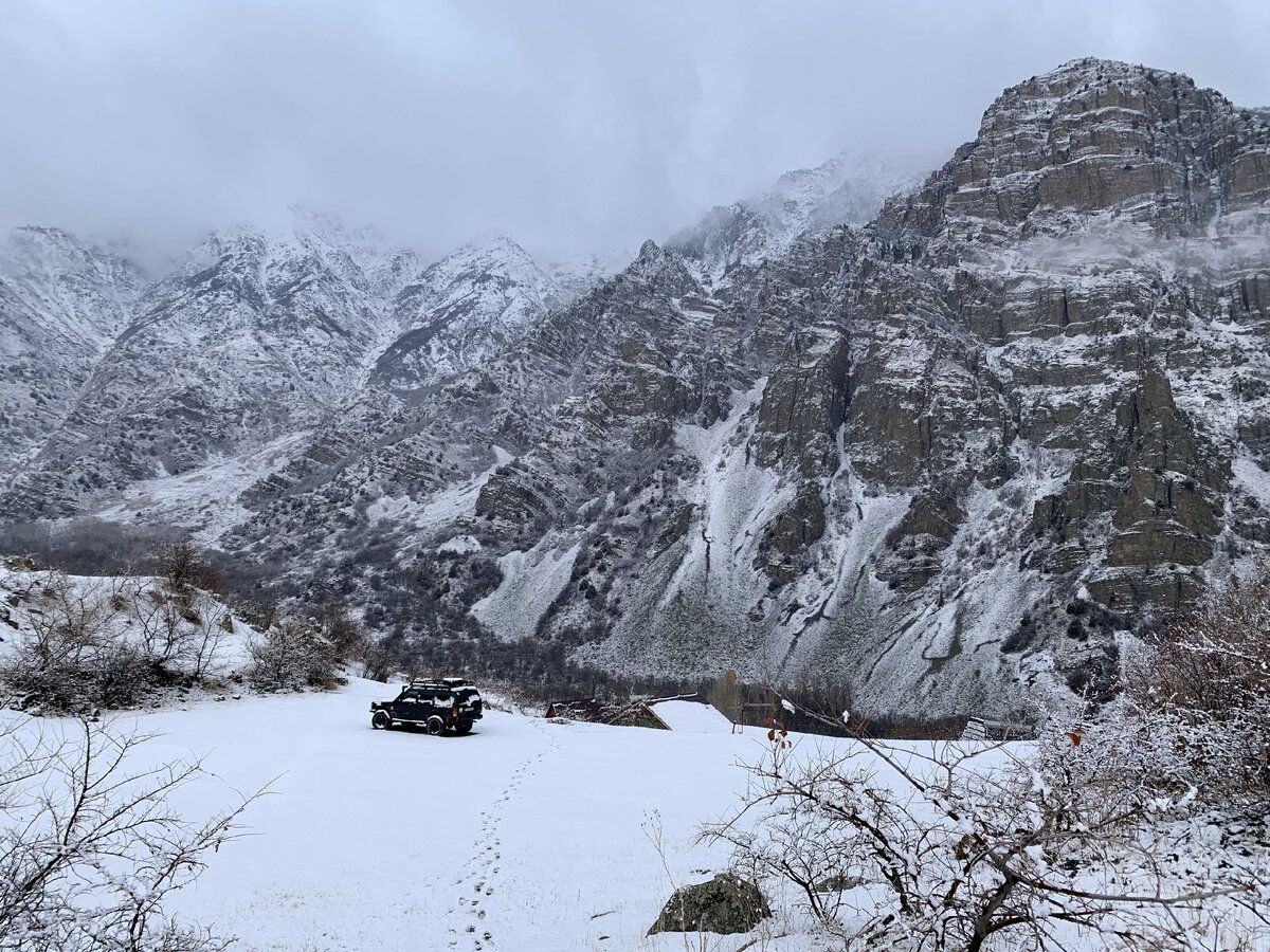 По скалам ущелья гуляют безоары и медведи