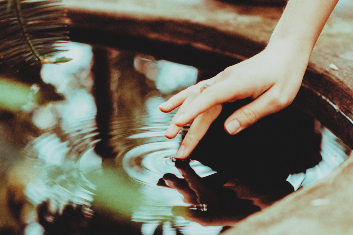 Взято из открытых источников.