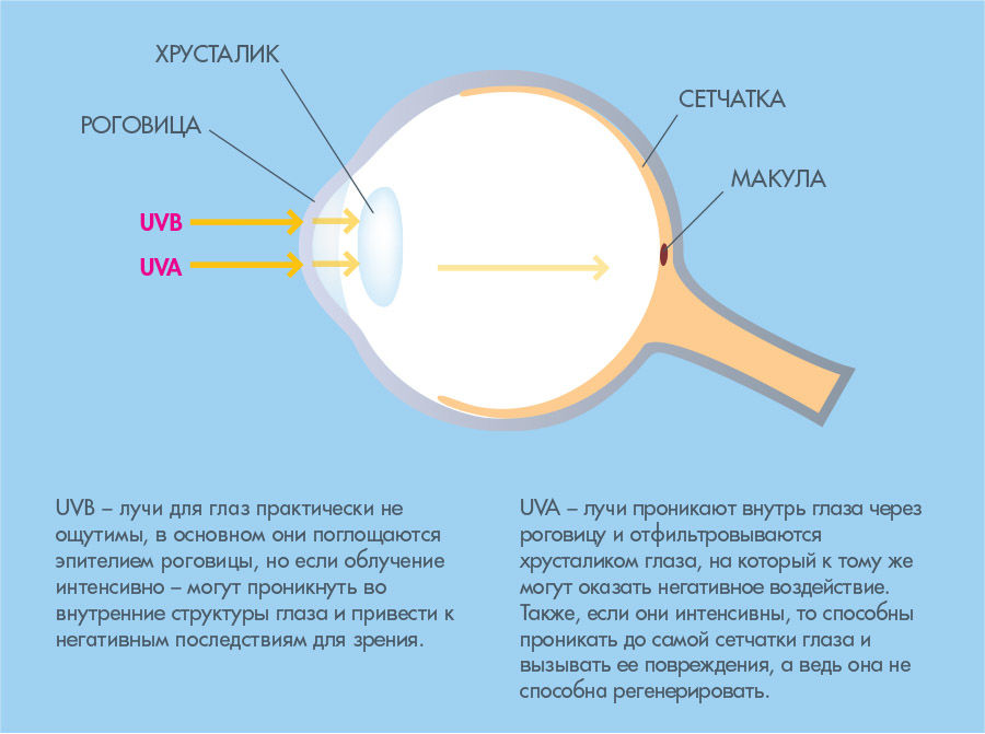 Влияние ультрафиолетового излучения на глаза человека. УФ излучение влияние на глаза. Ультрафиолетовое излучение влияние на глаза. Воздействиеультрофиолета на глаза.