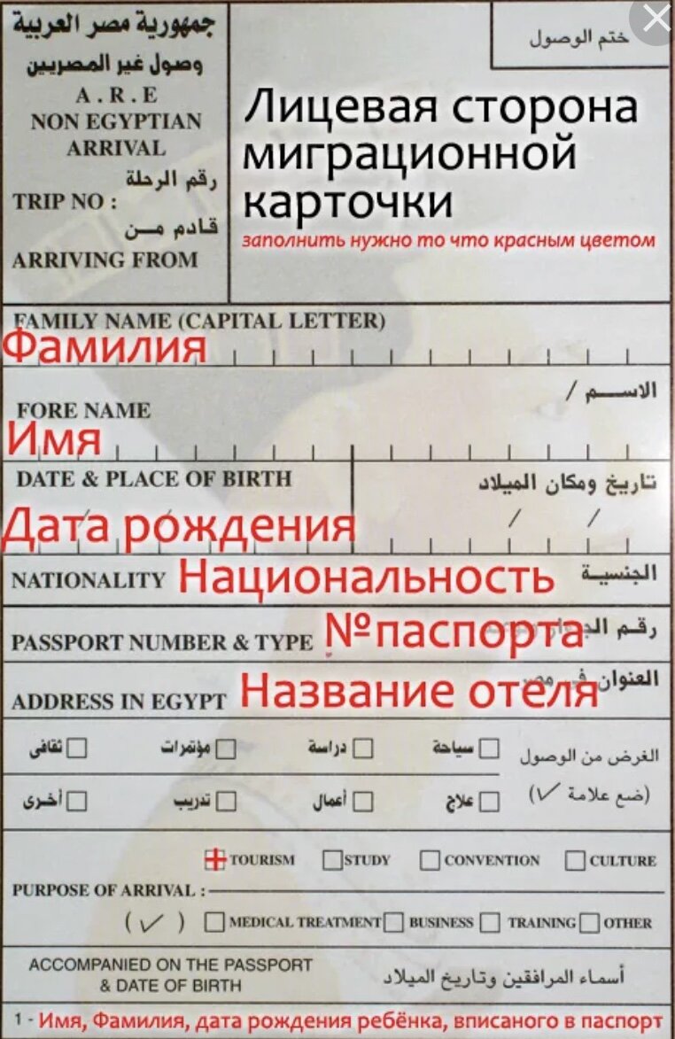 Синай онли образец