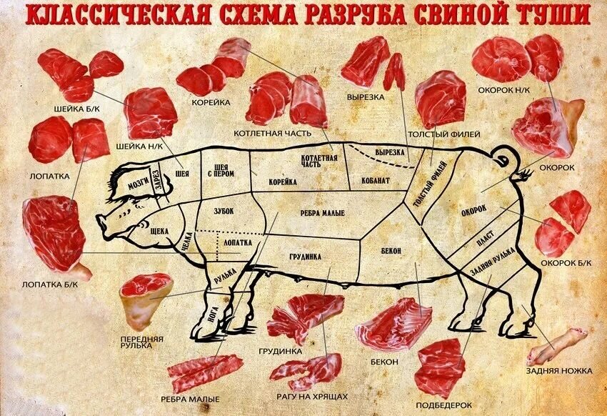 Картинка свиньи разделка