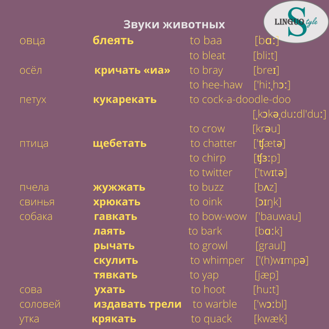 Об утверждении Типовых учебных программ дошкольного воспитания и обучения - ИПС 