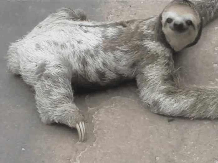 Очень милый