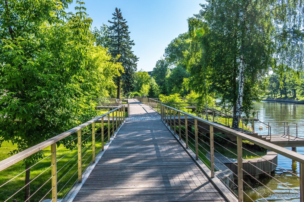 Дорожка у берега пруда