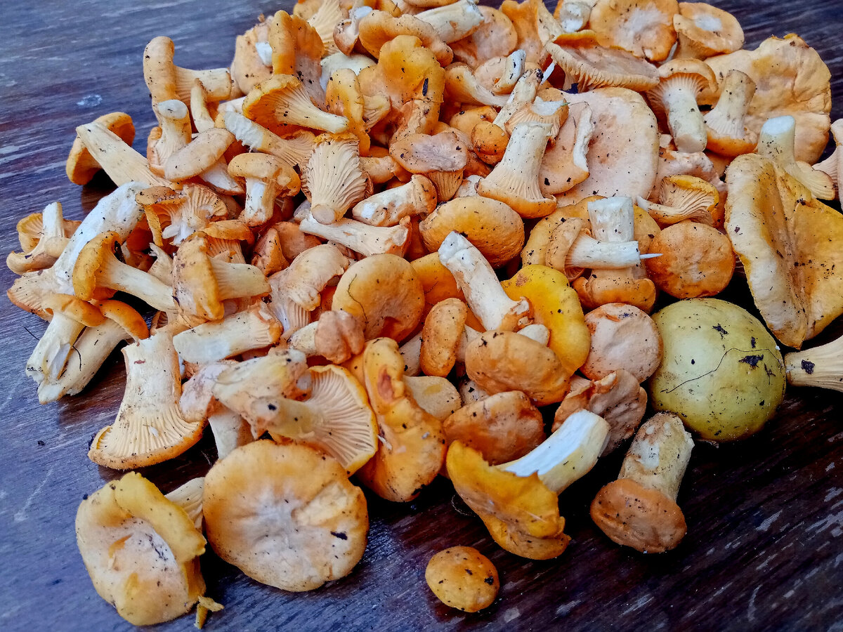 Вот такой итог нашей тихой охоты