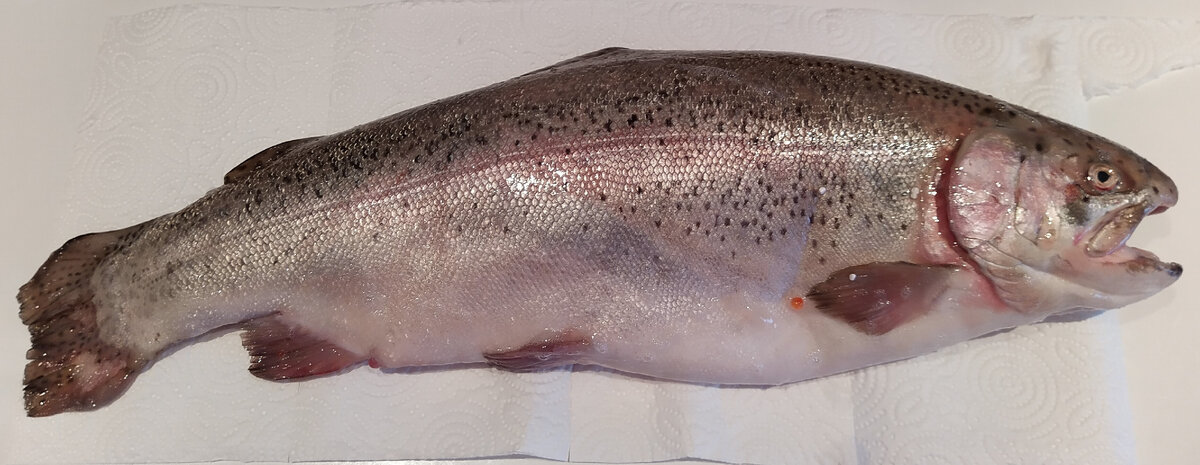 Здесь и далее все фото мои.