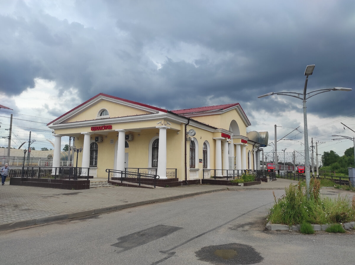 Поехал гулять на экотропу Сестрорецкое болото, но не смог пройти ее  полностью. Рассказываю, почему | Вокруг Да около | Дзен